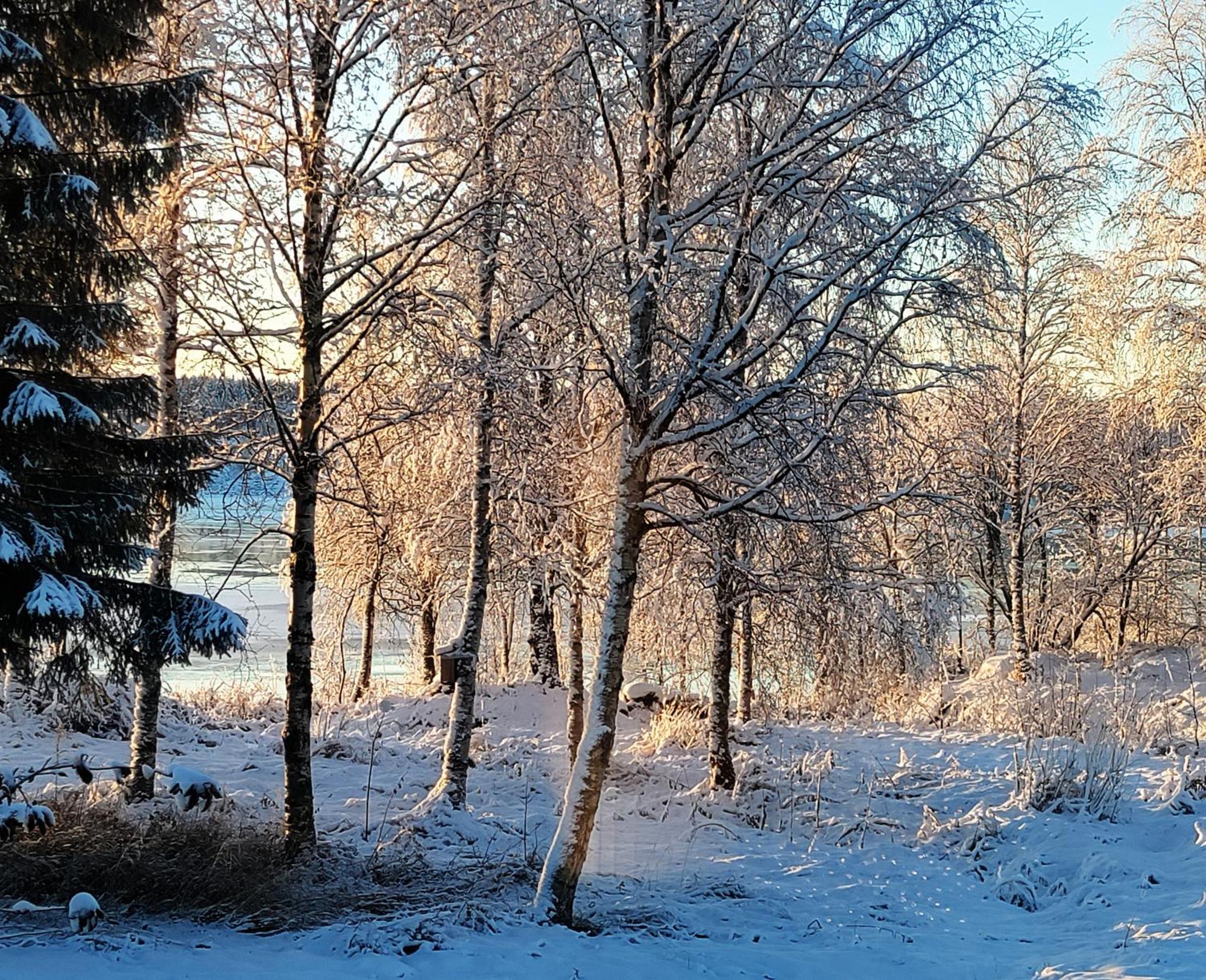 Villa Puistola & Sauna, Near Santa'S Village Рованиеми Экстерьер фото